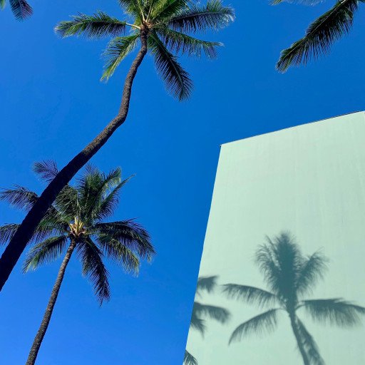 Essence of Waikiki Wall